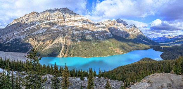 Foto lago peyto, alberta, canadá