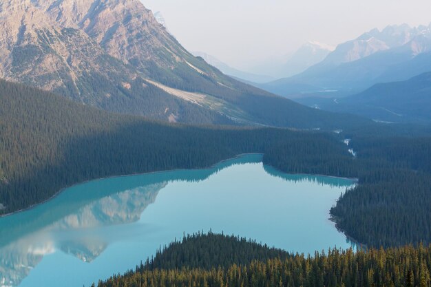 Lago peyto no parque nacional de banff, canadá