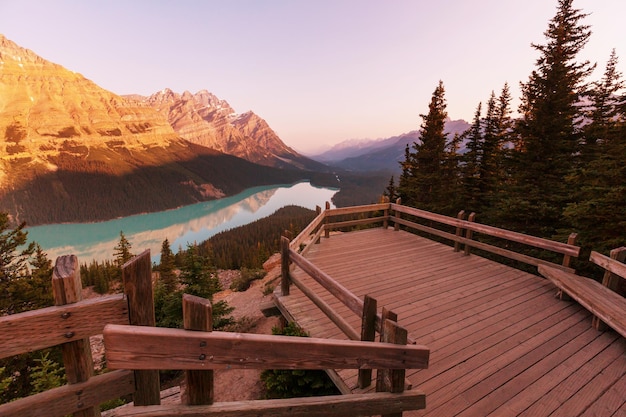 Lago Peyto en el Parque Nacional Banff, Canadá