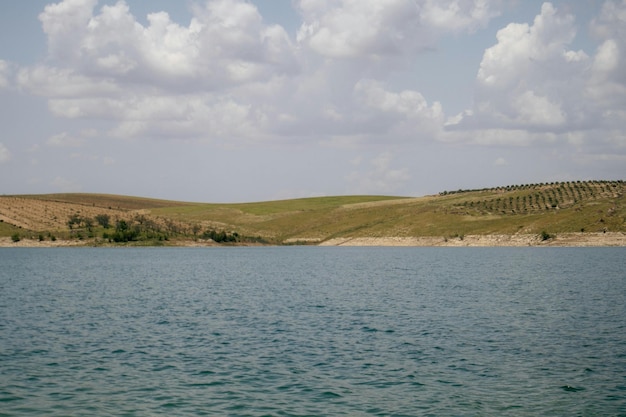 un lago con unos pocos árboles a su lado