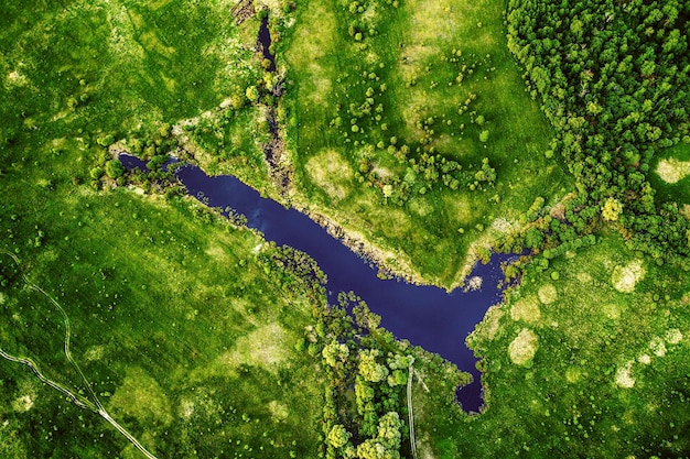 lago en los prados