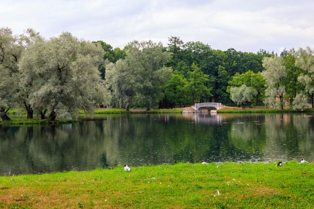 Lago con puente viejo en un parque en Gatchina Rusia