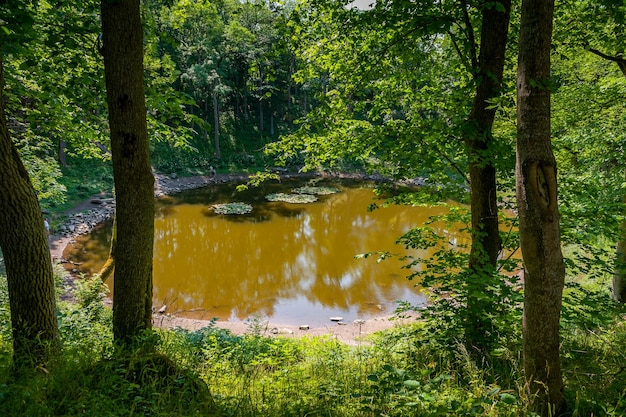 Lago redondo na ilha estoniana da cratera do meteorito de kaali de saaremaa