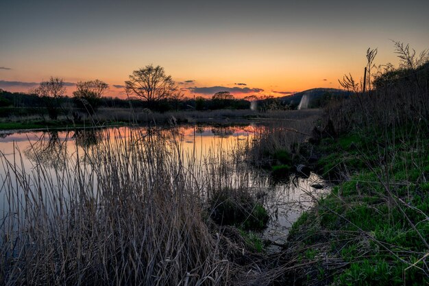 Lago Reed con una superficie reflectante