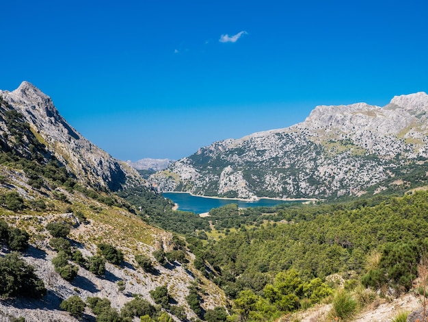 Lago rodeado de alta cordillera y bosque con árboles verdes exuberantes que crecen contra el cielo azul en la naturaleza en un día de verano