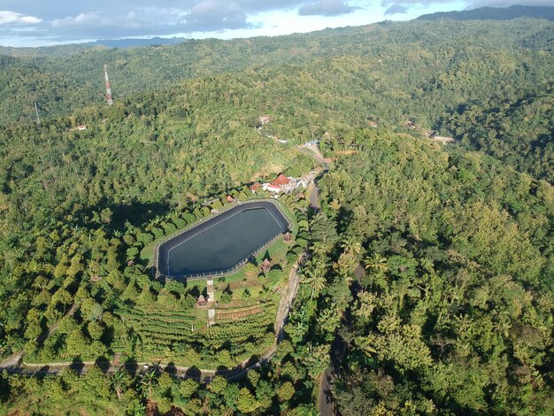 Foto un lago rodeado de árboles en las montañas.