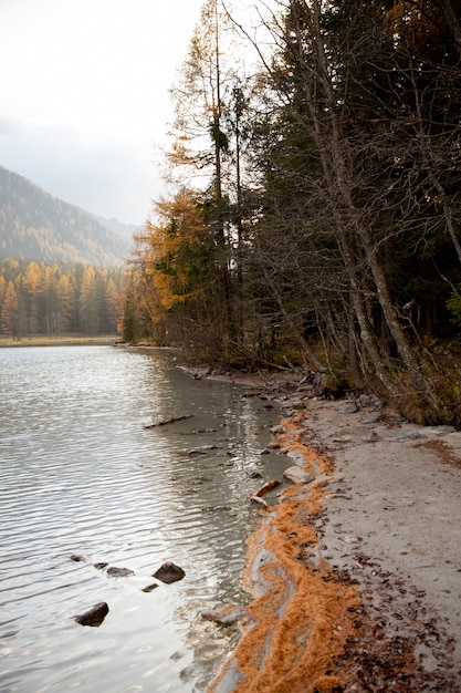 un lago rodeado de bosques y montañas