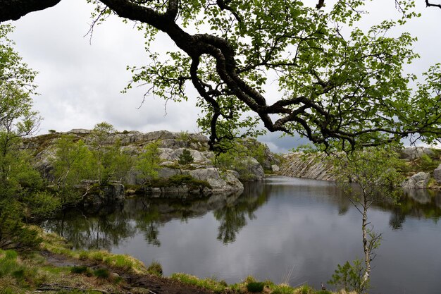 Lago rodeado de rocas y árboles en un día nublado de Noruega camino a Preikestolen