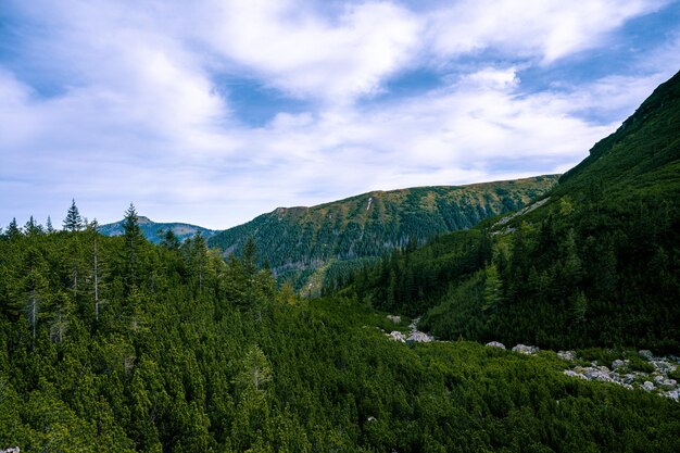 Lago Rohacske en Eslovaquia Montañas Tatras occidentales Rohace Eslovaquia