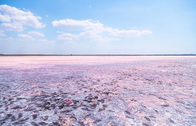 Foto el lago rosado salado