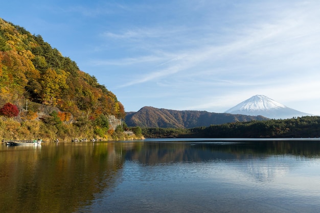 Lago Saiko y montaña Fuji