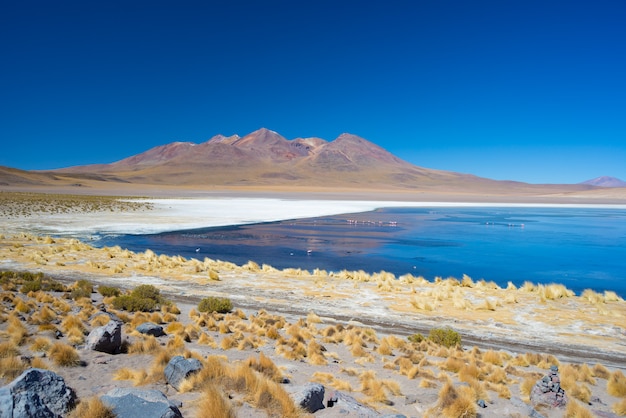 Lago salado azul con flamencos en los Andes bolivianos