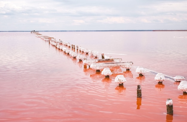 Lago salado rosa en Crimea