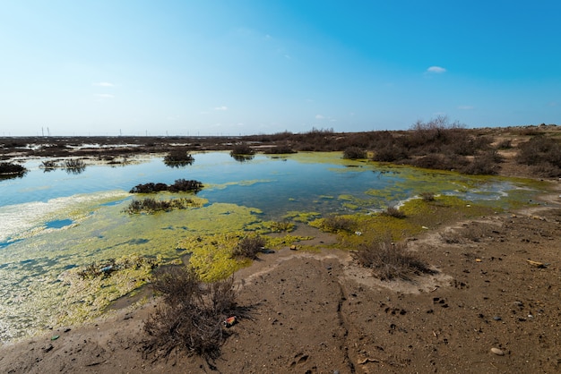 Lago de secado contaminado