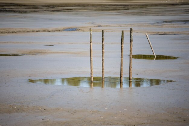 Lago seco y pilares de madera atascados en el barro