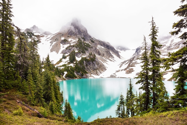 Lago de la serenidad en las montañas en temporada de verano. Hermosos paisajes naturales.