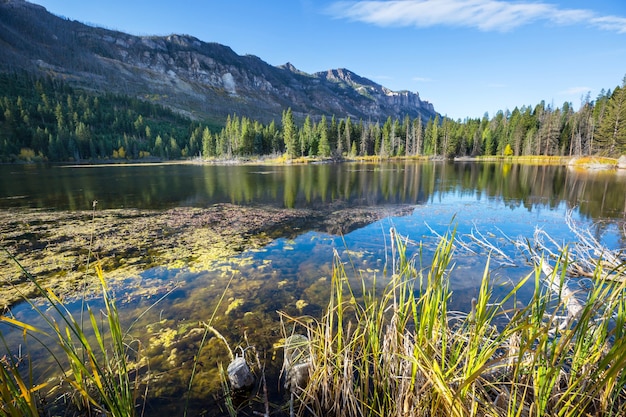 Lago de la serenidad en las montañas en temporada de verano. Hermosos paisajes naturales.