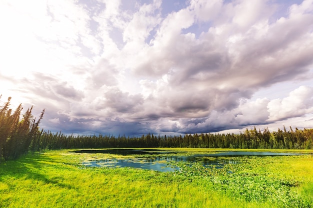 Lago serenity na tundra do alasca