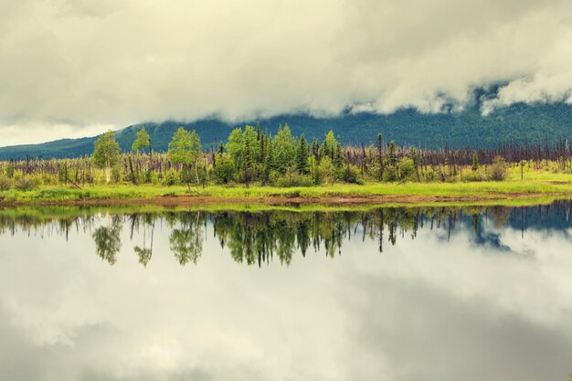 Lago serenity na tundra do alasca