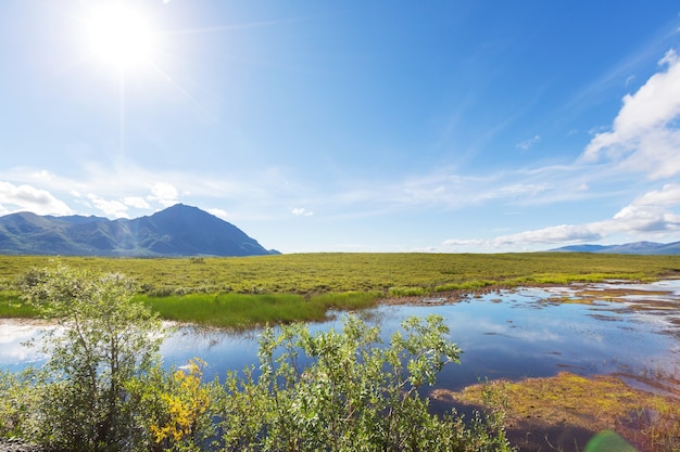 Lago serenity na tundra do Alasca