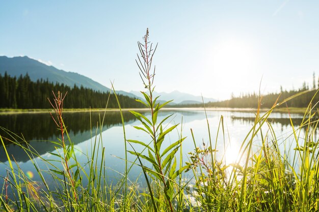 Lago Serenity en tundra en Alaska