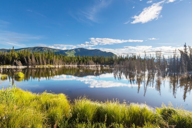 Lago Serenity en la tundra de Alaska