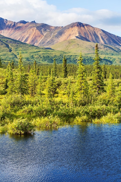 Foto lago serenity en la tundra de alaska