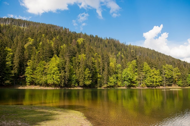 Lago Sinevir no horário de verão. Lago vulcânico nas montanhas dos Cárpatos na Ucrânia, Europa