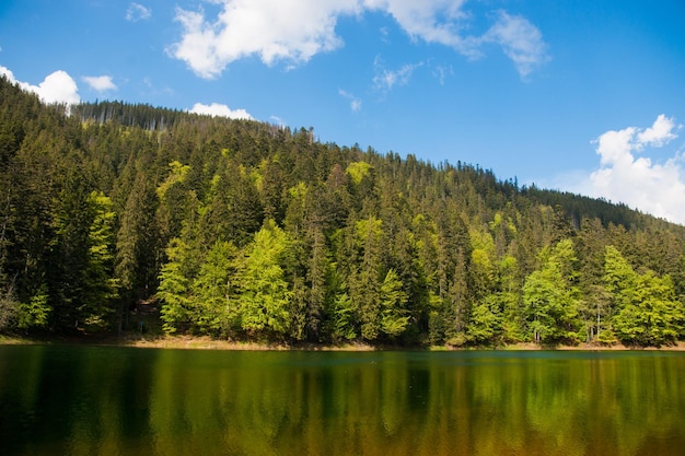 Lago Sinevir en verano. Lago volcánico en las montañas de los Cárpatos en Ucrania, Europa