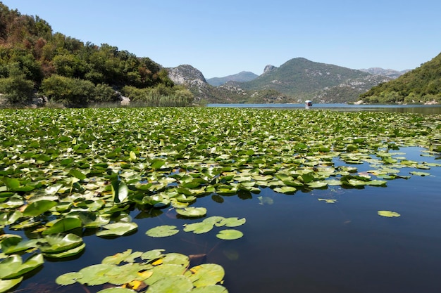 Lago Skadar e suas montanhas circundantes Montenegro