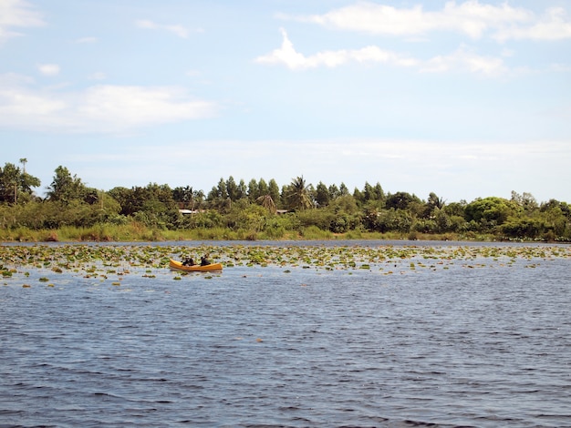 Lago en Tailandia, Centro de Educación de la Naturaleza en Rayong