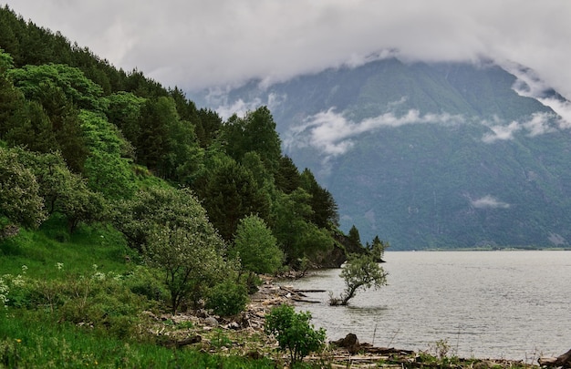 Lago Teletskoye en las montañas de Altai, Siberia, Rusia. Mañana de verano de belleza.