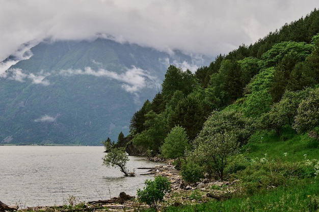 Lago Teletskoye nas montanhas de Altai, Sibéria, Rússia. Beleza manhã de verão.