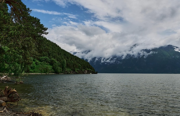 Lago Teletskoye nas montanhas de Altai, Sibéria, Rússia. Beleza manhã de verão.