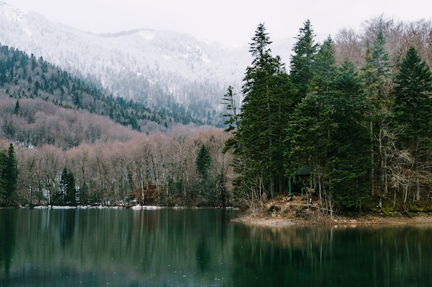 Lago con el telón de fondo de bosques y montañas en el parque biogradska gora montenegro