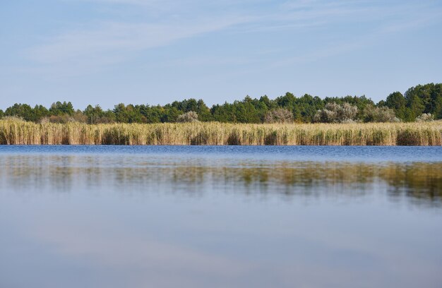 Lago terapéutico con yodo y minerales en medio de la estepa salvaje, Lago Azul, Ucrania, ciudad de Kherson