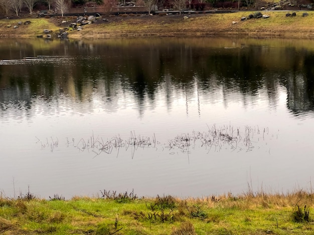 El lago en las Tierras Altas de Issaquah