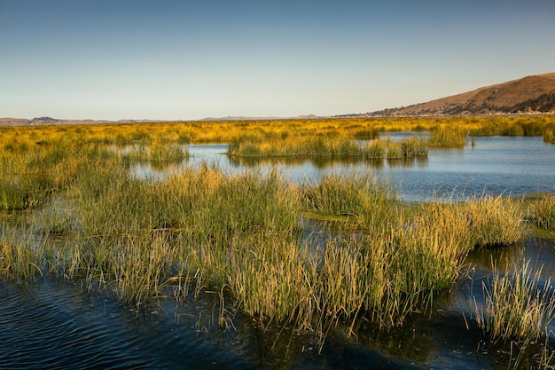 El lago Titicaca es el lago más grande de América del Sur y el lago navegable más alto del mundo.