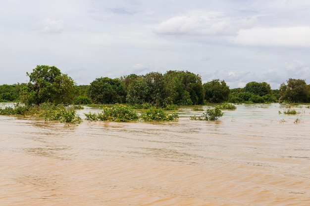 Lago tonle sap