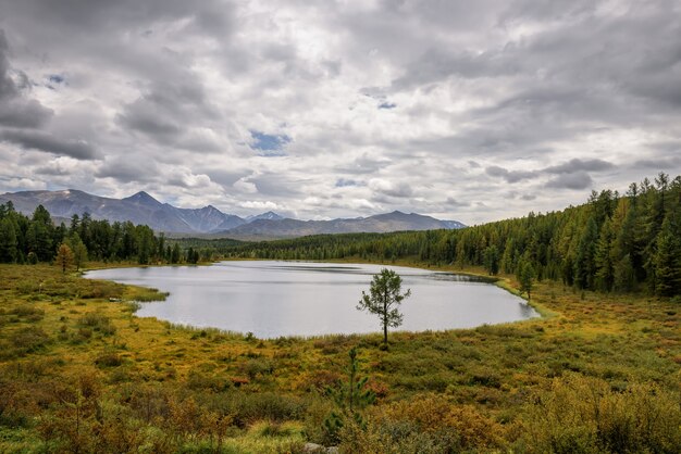 Lago tranquilo entre os picos das montanhas e florestas de pinheiros