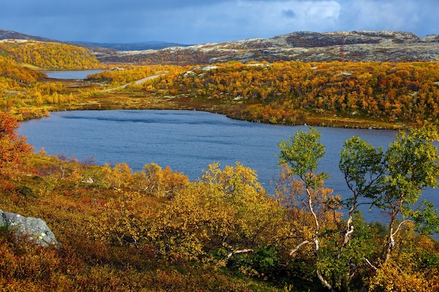 Lago con vegetación en la tundra en otoño. Península de Kola, Rusia.