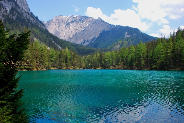 Lago verde con montaña