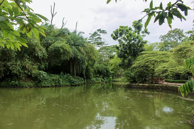 Lago Verde