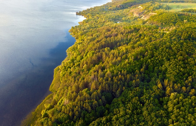 Lago de vista aérea y bosques verdes en mañana soleada