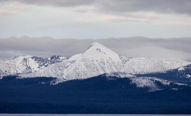 Lago Yellowstone con montañas cubiertas de nieve en el paisaje americano