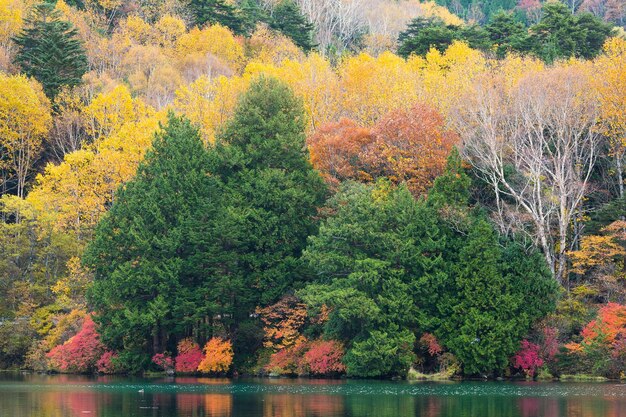 Lago Yuno en Nikko