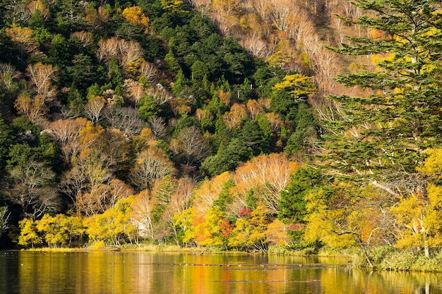 Lago Yunoko en Nikko de Japón