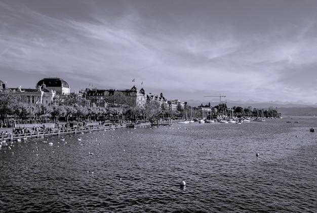 Foto lago de zúrich en blanco y negro por la tarde