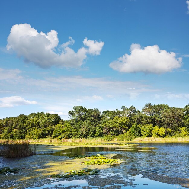 Foto el lago