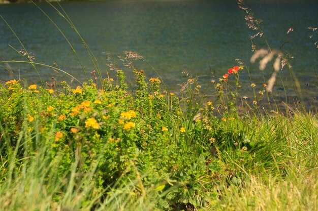 Foto por el lago